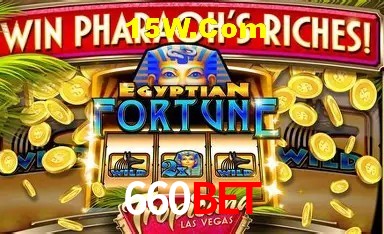 Experiência VIP 660Bet